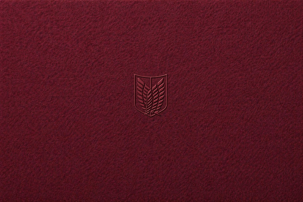 Mikasa's Warmth - Attack On Titan