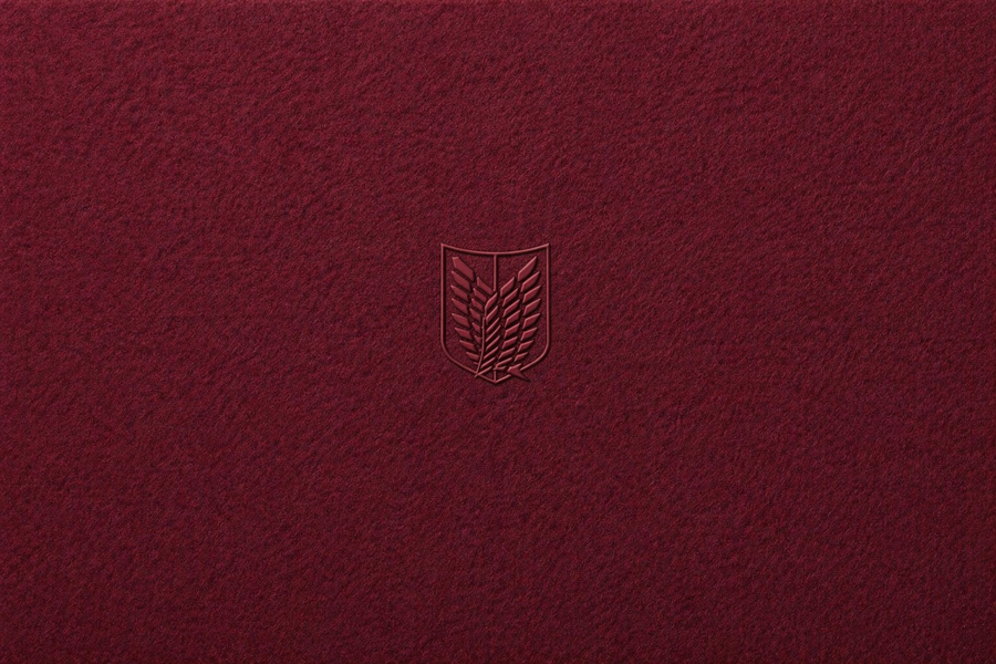 Mikasa's Warmth - Attack On Titan